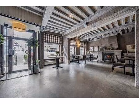 immeuble mixte : surface commerciale + duplex 3 chambres.