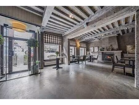 immeuble mixte : surface commerciale + duplex 3 chambres.