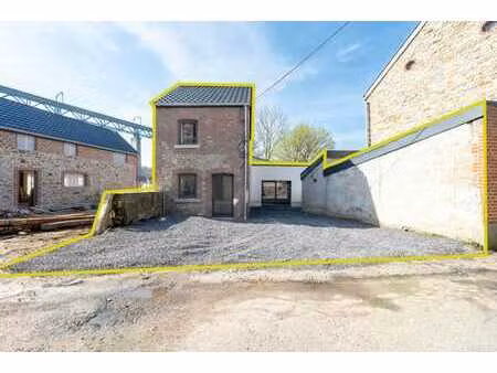 charmante maison entièrement rénovée 1 chambre avec terrasse