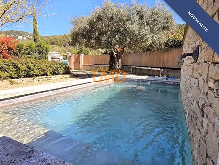 vente maison 8 pièces 212 m² à lagnes (84800)  715 000 €