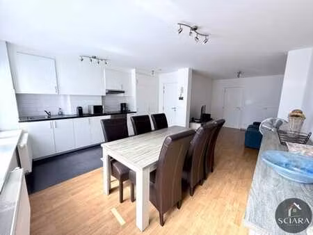 appartement 1 ch entierement renove