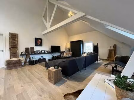 superbe loft lumineux situé au coeur de visé