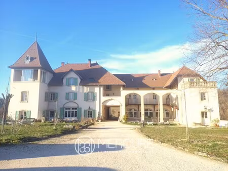 château à vendre à murinais
