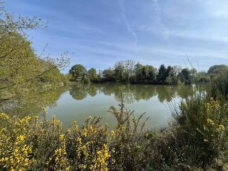 vente terrain à vallons-de-l'erdre (44540) : à vendre / vallons-de-l'erdre