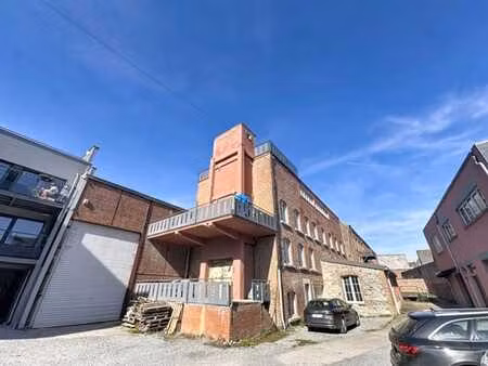 ensival (foulerie) appartement (esprit loft) avec terrasse