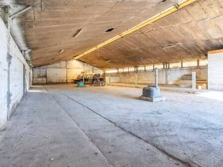 projet immobilier et équestre rare à libramont