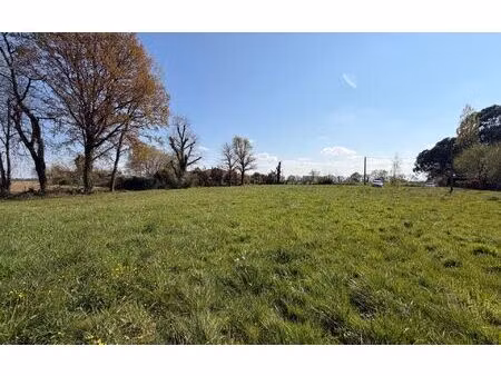 terrain montgaillard m² t- à vendre  68 000 €