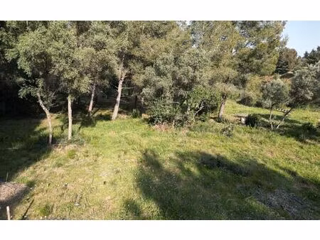 terrain ollioules m² t- à vendre  215 000 €