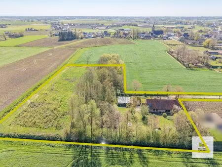 maison à vendre à wingene € 685.000 (ln1iu) - vastgoed wanneyn missiaen | zimmo