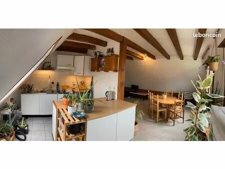 appart + jardin + cave + garage dans jolie maison