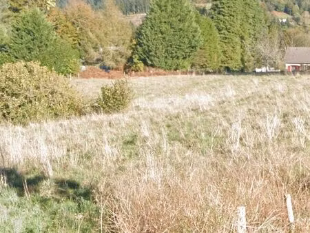 terrain 3500 m² à louer