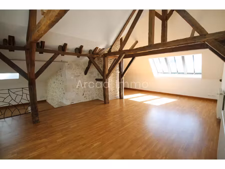 magnifique appartement de 100 m2 avec 2 chambres.