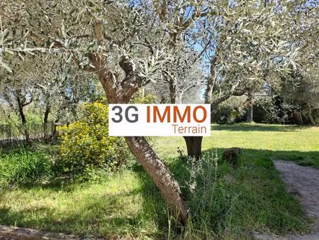 terrain constructible