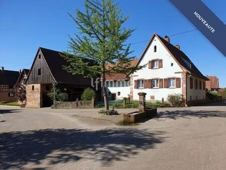 weissbeck dominique - by la fédé