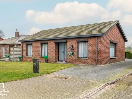 maison à vendre à zolder € 325.000 (ln1o4) - nancy aerts vastgoed | zimmo