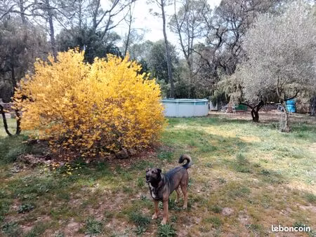 maison au calme absolu  très grand terrain