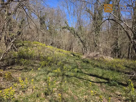 vente terrain 7410 m² à gez (65400)  11 900 €