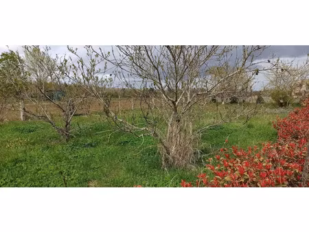 vente terrain à batir 450 m² à chatillon-sur-cher (41130)  18 000 €