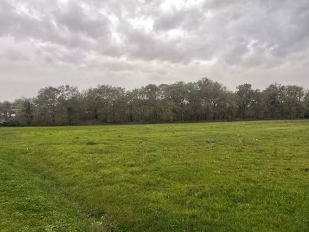 vente terrain 605 m² à saint-christoly-de-blaye (33920)  28 000 €