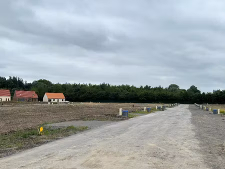 vente terrain 440 m² à beuvry (62660)  56 000 €