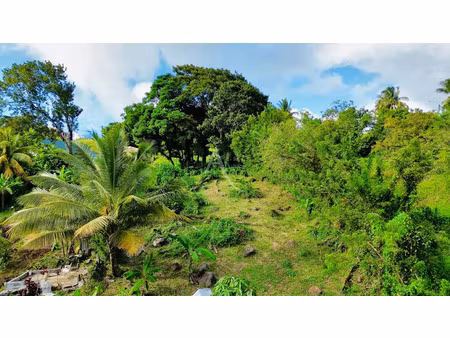 vente terrain 864 m² à sainte luce (97228)  75 000 €