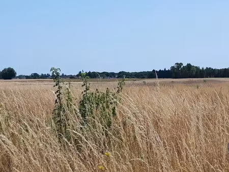 vente terrain 1300 m² à reugny (37380)  48 800 €