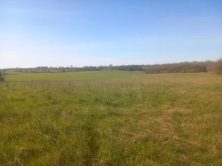 vente terrain 45000 m² à mauroux (46700)  52 000 €