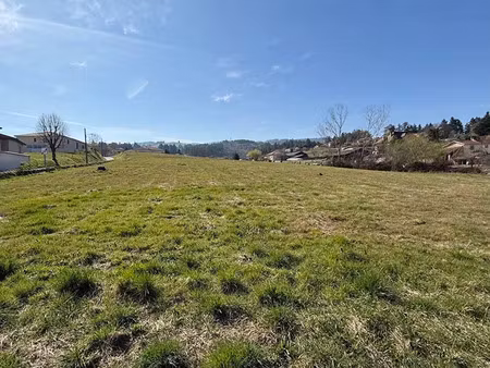 vente terrain 1718 m² saint-andré-d’apchon (42370)