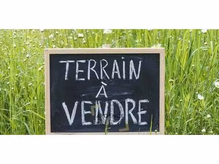 terrain saussines (34)