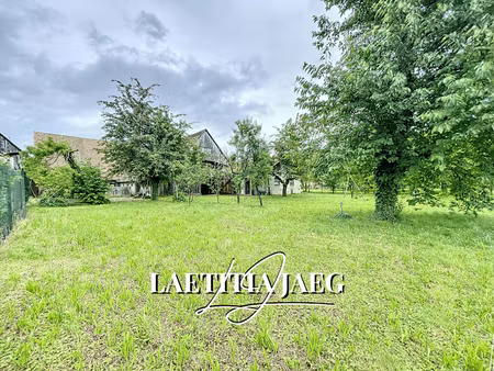 vente terrain à boofzheim (67860)  229 900 €
