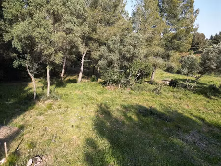 vente terrain à batir 511 m² à ollioules (83190)  215 000 €