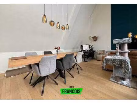 duplex moderne avec terrasse au centre de zottegem