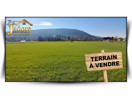 vente terrain 6536 m² à granges-aumontzey (88640)  86 000 €