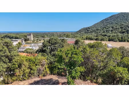 vente terrain 2259 m² à prunelli-di-fiumorbo (20243)  88 000 €