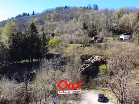 vente terrain 3323 m² à la bresse (88250)  139 000 €