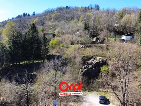 vente terrain à batir 3323 m² à la bresse (88250)  139 000 €