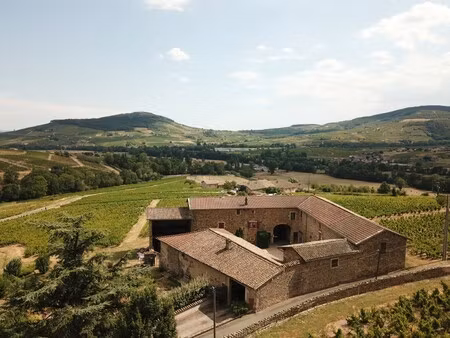 villa de luxe à vendre à régnié-durette