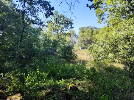 vente terrain 1397 m² à néoules (83136)  176 000 €