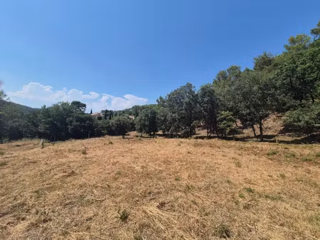 vente terrain 1019 m² à taradeau (83460)  162 000 €