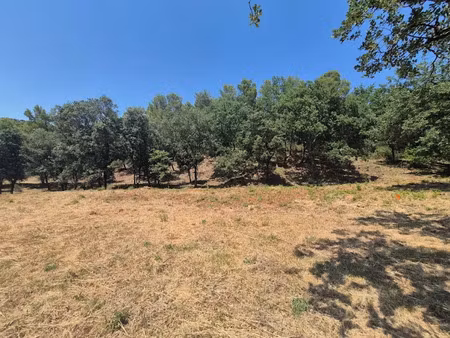 vente terrain 800 m² à taradeau (83460)  165 000 €