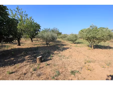 vente terrain 2860 m² à régusse (83630)  299 000 €