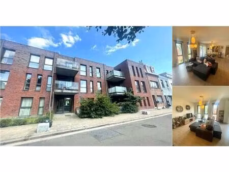 appartement à louer à hollebeekstraat 169 hoboken (rbv66356)