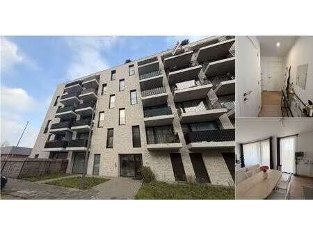 appartement à louer à zeelandstraat 67 hoboken (rbv66354)