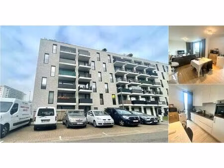 appartement à louer à zeelandstraat 71 hoboken (rbv66357)