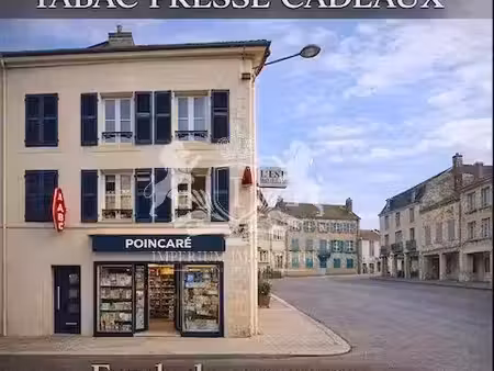 vente locaux professionnels 0 pièces 100 m² à stenay (55700)  260 000 €