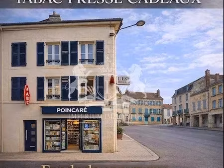 vente locaux professionnels 100 m² à stenay (55700)  260 000 €