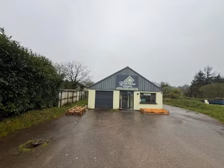 vente locaux professionnels 92 m² à poullaouen (29246)  118 800 €