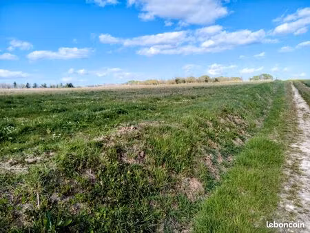 terrain agricole 6181 m2 - 8000 euros (frais de notaire inclus)