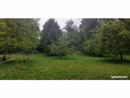 vend terrains de loisirs sur la touvre avec fruitiers  non constructible natura 2000  6642
