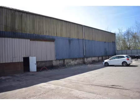 vente locaux professionnels 3 pièces 800 m² à l'hopital (57490)  170 000 €